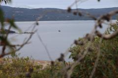 IMG_8418