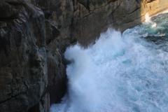 IMG_8459