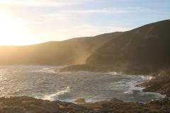 IMG_8535