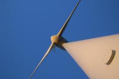 IMG_8572