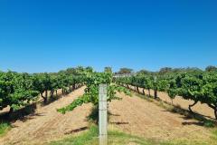 20230107_153111