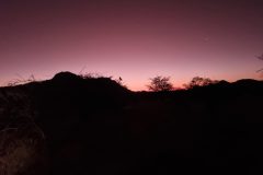 20230309_195804-scaled