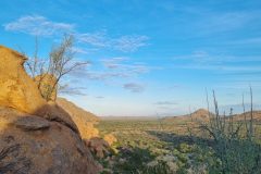 20230311_072438-scaled