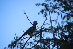 IMG_1645-scaled
