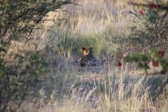IMG_1678-scaled