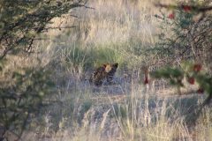 IMG_1686-scaled