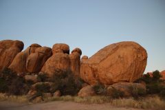 IMG_1753-scaled