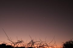 IMG_1774-scaled