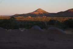 IMG_1809-scaled
