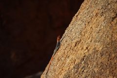 IMG_1827-scaled