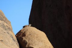 IMG_1848-scaled