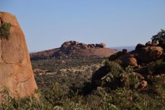 IMG_1855-scaled