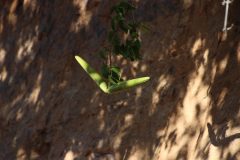 IMG_1883-scaled