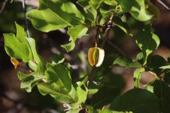 IMG_1902-scaled.jpg