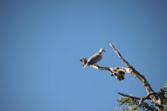 IMG_1956-scaled