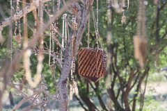 IMG_1978-scaled