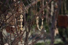 IMG_1981-scaled