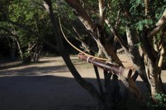 IMG_1983-scaled