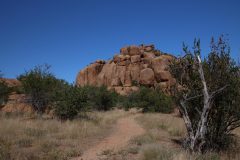 IMG_2420-scaled