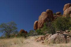 IMG_2472-scaled