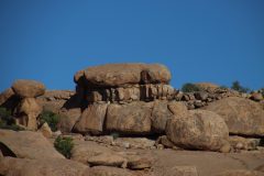 IMG_2620-scaled