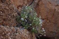 IMG_2799-scaled