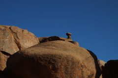 IMG_2867-scaled