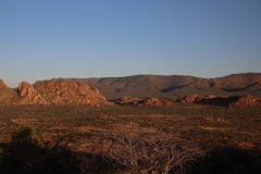 IMG_2909-scaled
