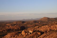 IMG_2942-scaled