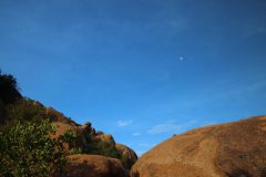 IMG_3313-scaled