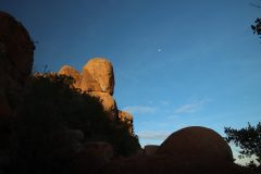 IMG_3371-scaled