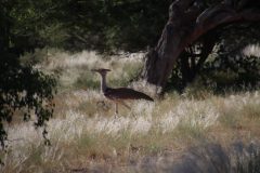 IMG_3532-scaled