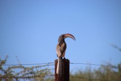 IMG_3559-scaled