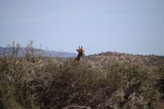 IMG_3609-scaled