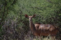 IMG_3658-scaled