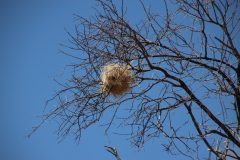 IMG_3696-scaled