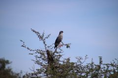 IMG_3763-scaled