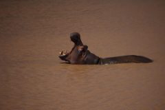 IMG_3856-scaled
