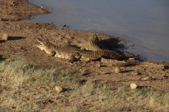 IMG_4096-scaled