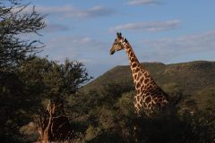 IMG_4113-scaled