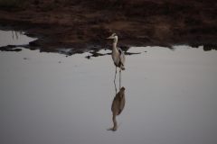 IMG_4216-scaled