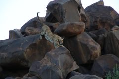 IMG_4229-scaled