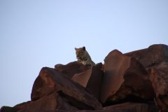 IMG_4238-scaled