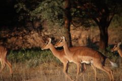 IMG_4257-scaled