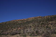 IMG_4397-scaled