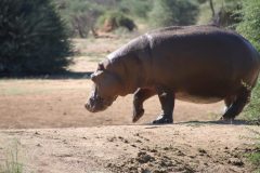 IMG_4465-scaled