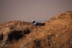 IMG_4473-scaled
