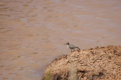 IMG_4488-scaled