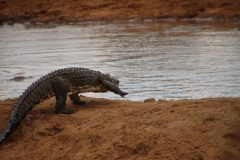 IMG_4572-scaled