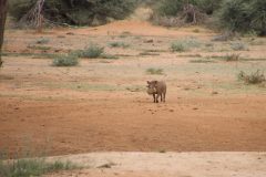 IMG_4695-scaled